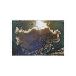 Winter Sun
