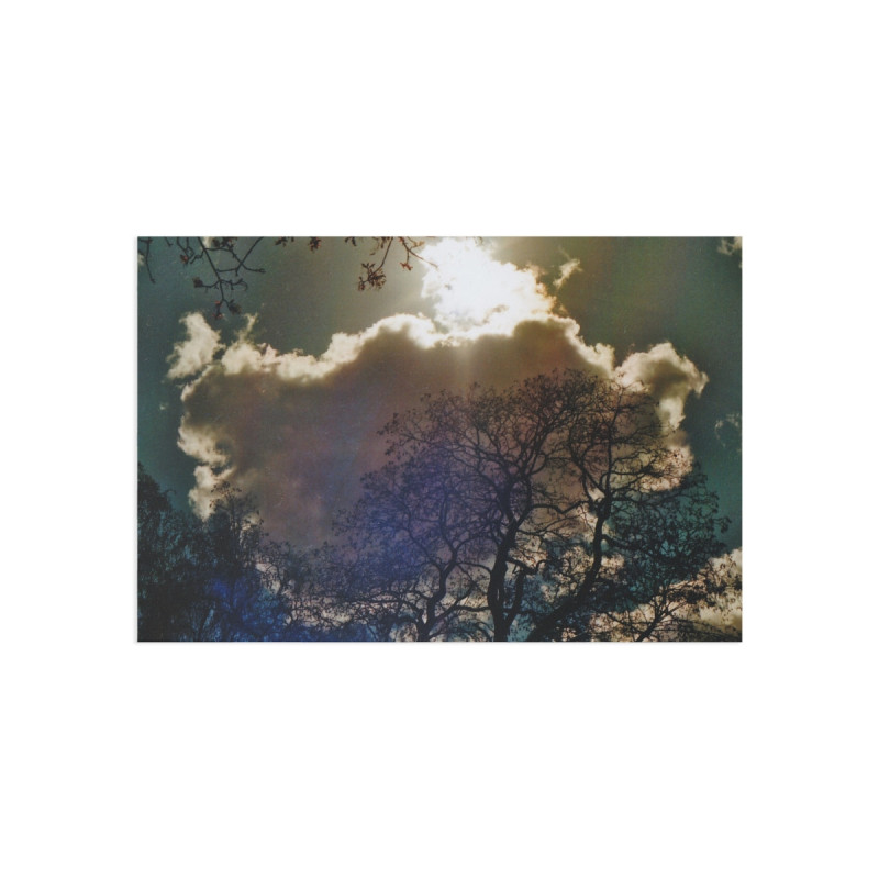 Winter Sun