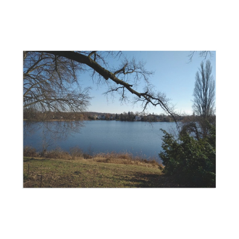 Beautiful March