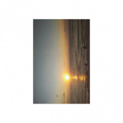 Fine July