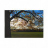 Sunny Autumn