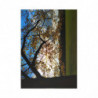 Sunny Autumn