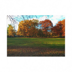 Colorful Autumn