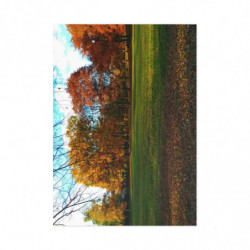 Colorful Autumn