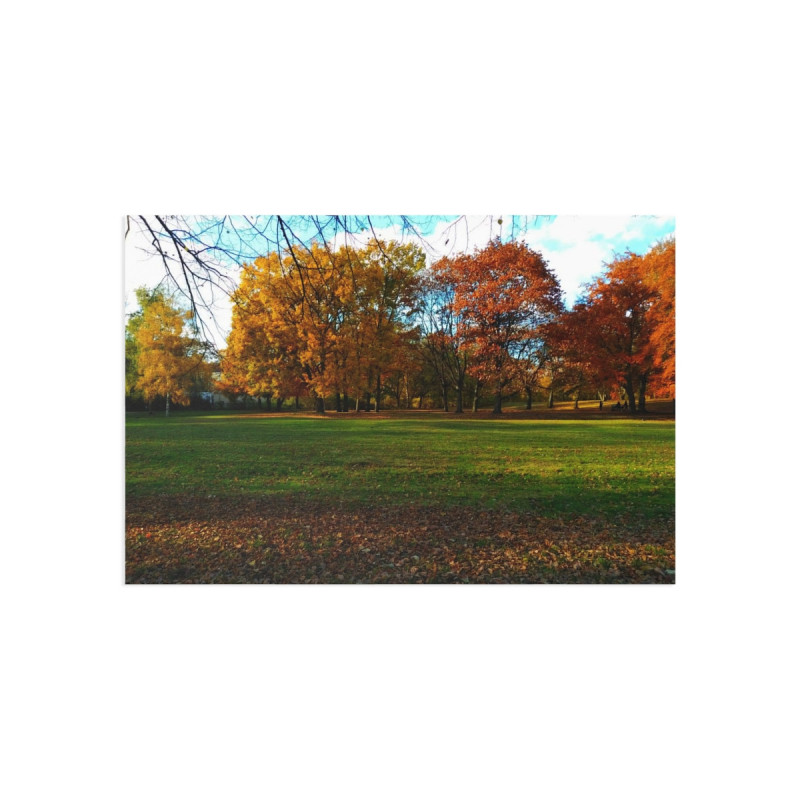 Colorful Autumn