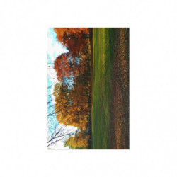 Colorful Autumn