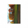 Colorful Autumn