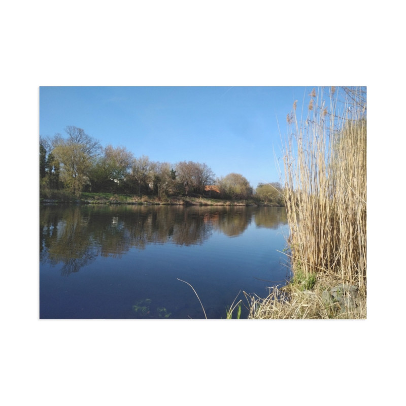 Fine Art Postcards — January Serene Lakeside