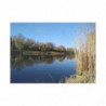 Fine Art Postcards — January Serene Lakeside