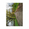 Fine Art Postcards — March Scenic Spring Countryroad