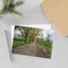 Fine Art Postcards — March Scenic Spring Countryroad