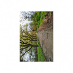 Fine Art Postcards — March Scenic Spring Countryroad