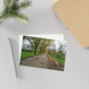 Fine Art Postcards — March Scenic Spring Countryroad