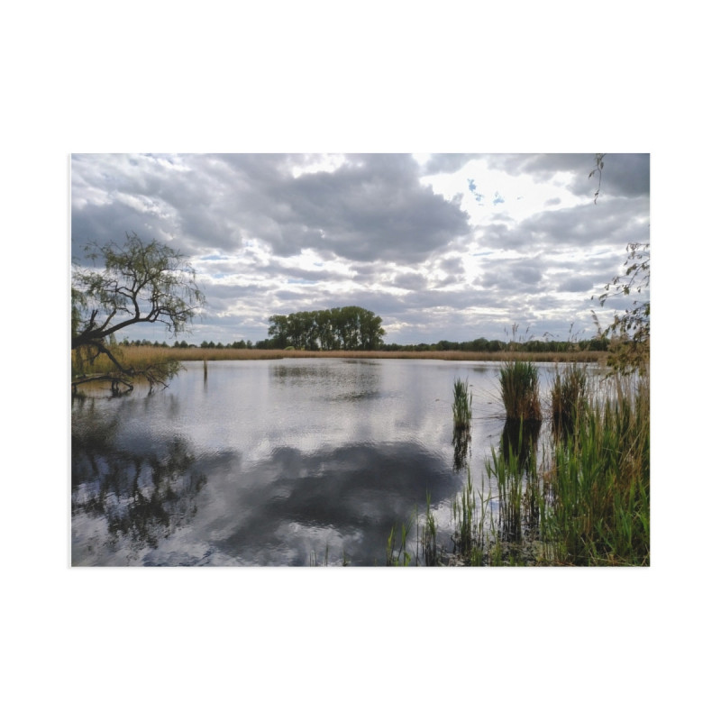 Fine Art Postcards — April Moody Lakesid