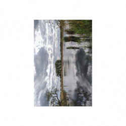 Fine Art Postcards — April Moody Lakesid