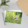 Fine Art Postcards — May Wildflower Bumblebee