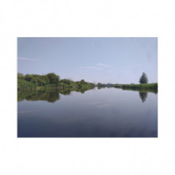 Fine Art Postcards — June...