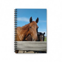 August Horses Spiral...