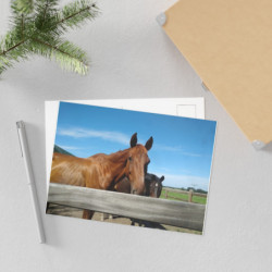Fine Art Postcards — August Ranch Horses