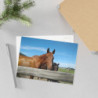Fine Art Postcards — August Ranch Horses