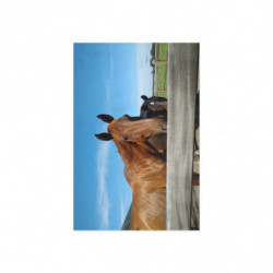 Fine Art Postcards — August Ranch Horses