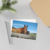 Fine Art Postcards — August Ranch Horses