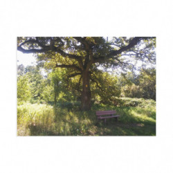 Fine Art Postcards —...