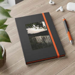 Color contrast notebook...